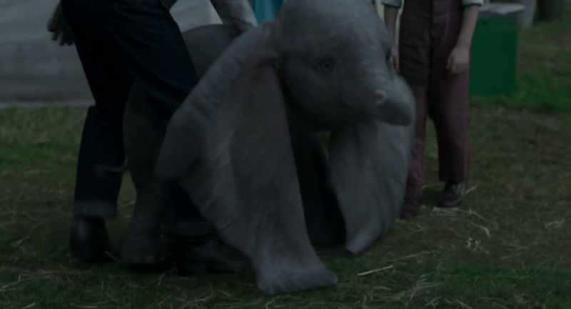 Beautiful creature