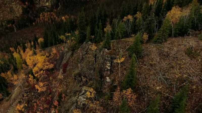 Beaver meat is a very rich fatty meat