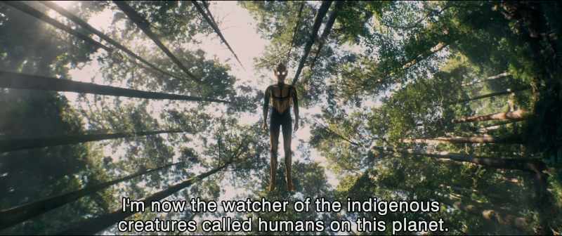Because you broke the Code of the Planet of Light