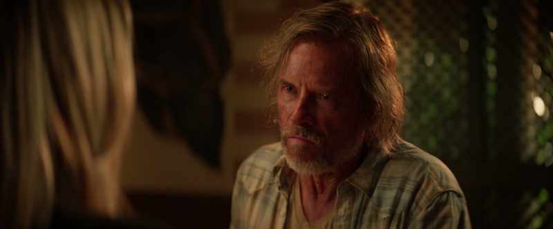 Because you dress in your sort of Sam Shepard clothes