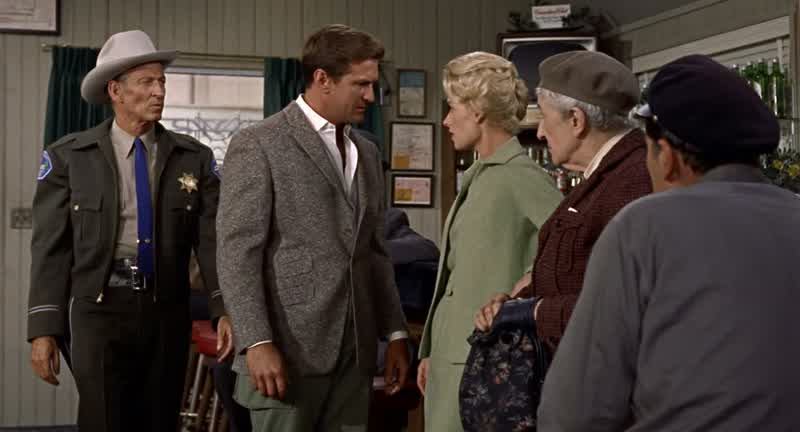 Al why aren't you over at the school where the attack was'Cause I just got back from Dan Fawcett's place that's whyHe was killed last night by birdsWhatNow hold it Mitch You don't know that for a