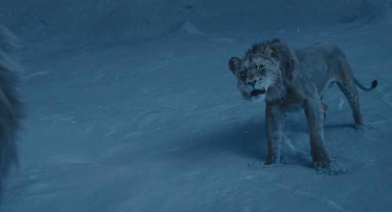 Because of Mufasa