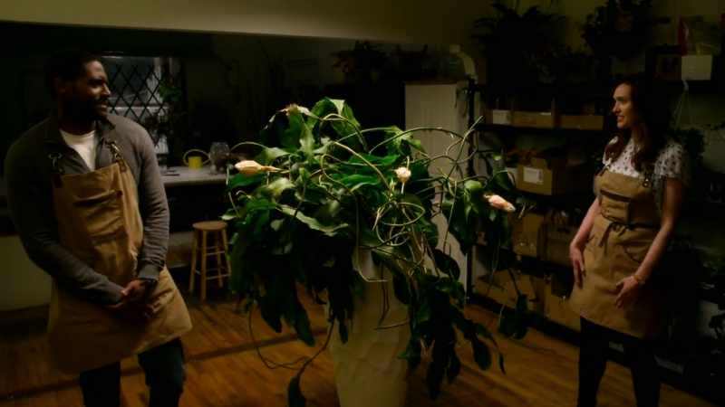 Because plants like being taken care of