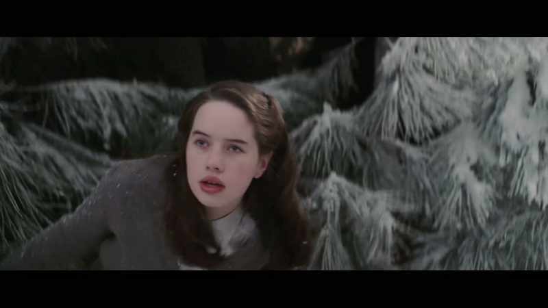 Because we see Narnia through their eyes