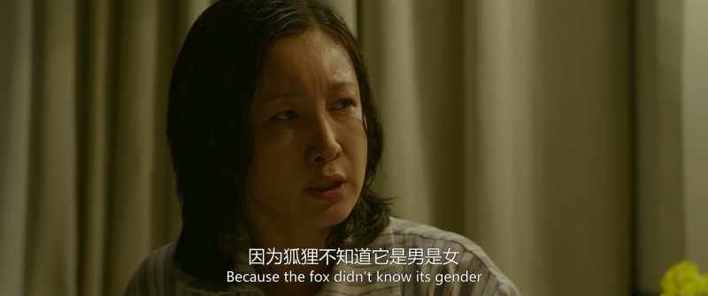 Because the fox didn't know its gender