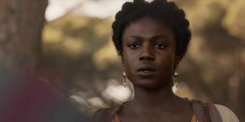 Because the Lady Octavia