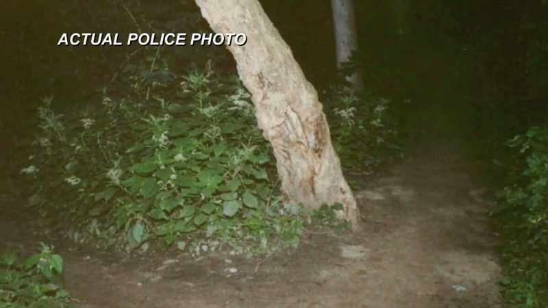 BECAUSE YOU GO DOWN THERE, IT'S A THICKLY-WOODED AREA