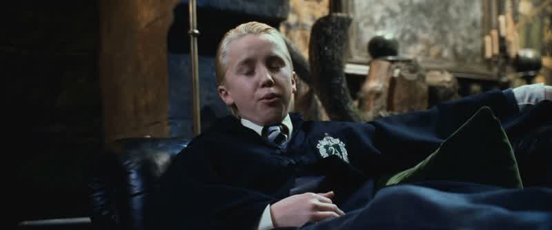 Bee in your bonnet Potter I was just wondering if you put me in the right house Yes You were particularly difficult to place But I stand by what I said last year You would have done well in Slytherin