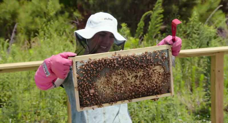Beekeeping has changed a lot in the last 10 years
