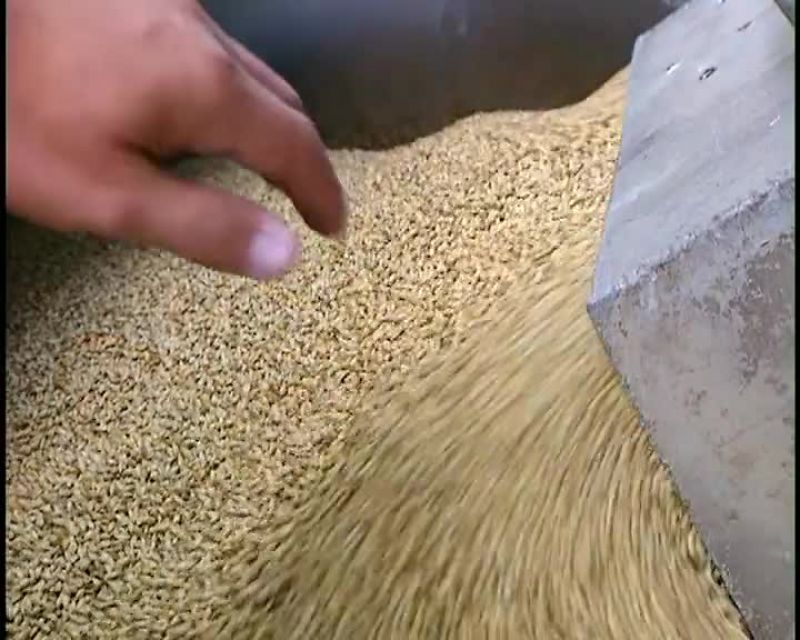 BEER IS A FERMENTED BEVERAGE MADE WITH CEREALS AND WATER