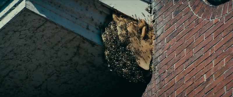 [bees buzzing loudly]