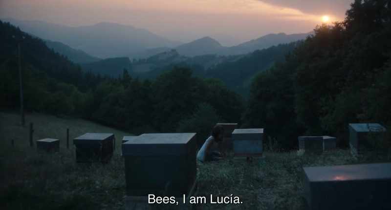 Bees, I am Lucía