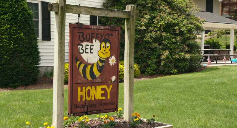 Bees were in California