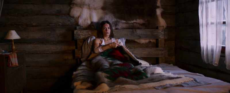 Before sunrise, the wolves would strip it to the bone
