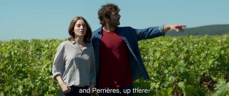 Behind it, Volnay and Pommard