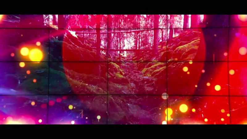 �� Behind the glass