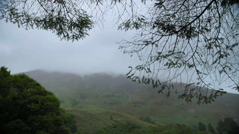 Being here now, there is a definite, you know, it's very beautiful