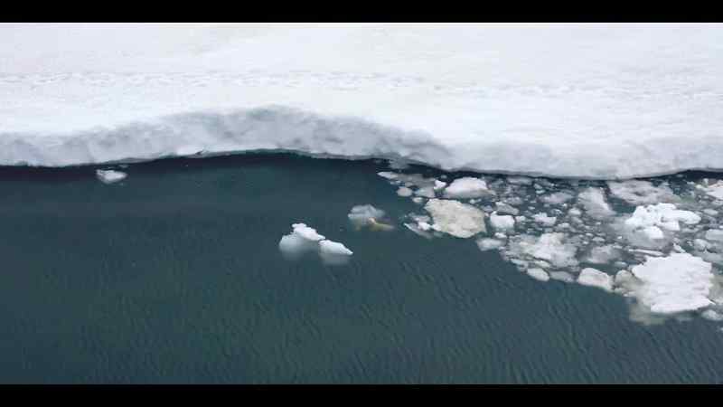 Being so small, he's vulnerable to hypothermia