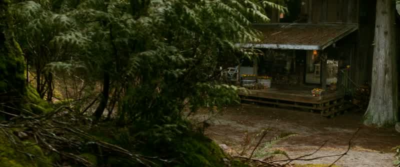 BELLA: Alice, is it possible that everything is true?