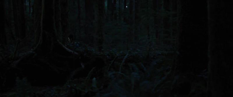BELLA: I still hate surprises. That hasn't changed