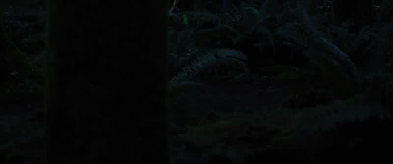 BELLA: I still hate surprises