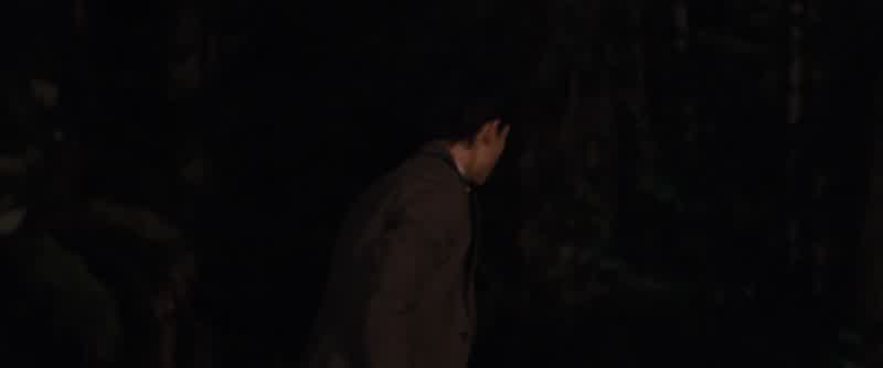 BELLA: I'm really, really, really stupid