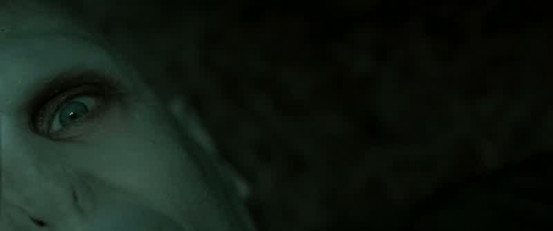 BELLATRIX: My Lord?