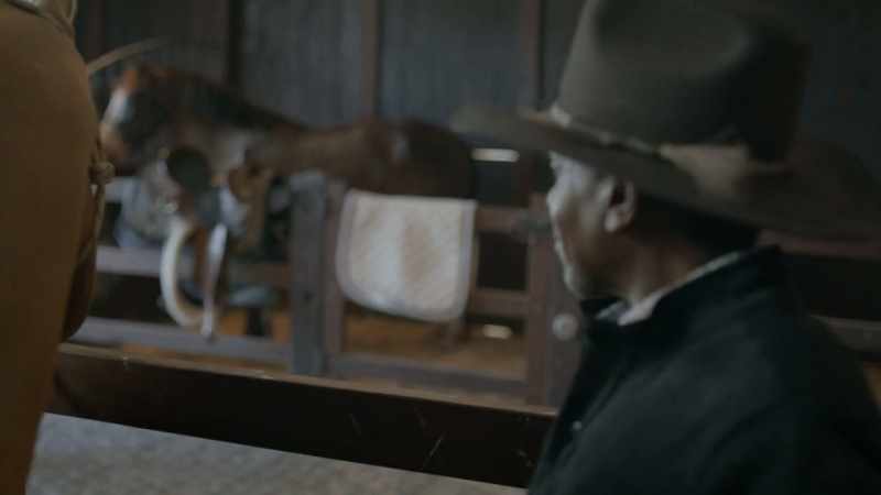 [Belle neighs]
