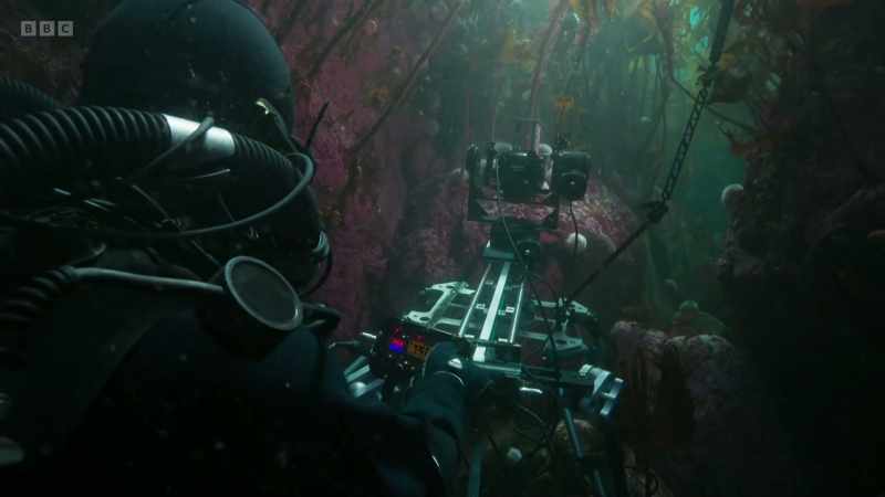 Below the kelp, Doug takes his design a step further