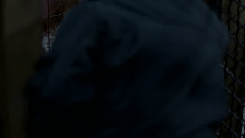 BEN: It's okay