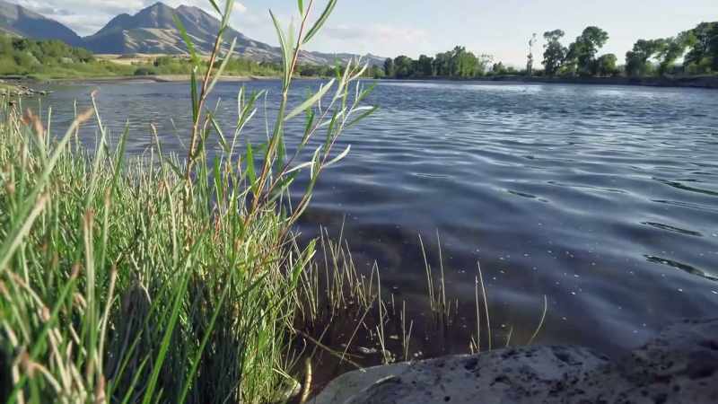 Beneath the surface, warming temperatures send an ugly bug