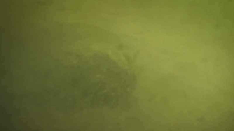 BENEDICT: And the river is too murky to find her way
