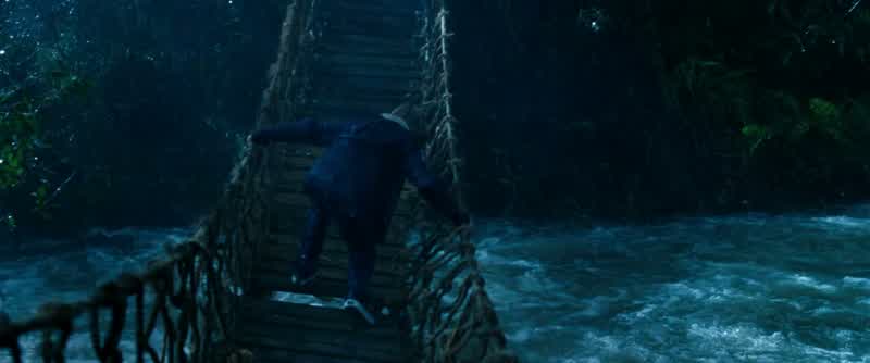 Benny! Come here! It's dangerous out there!