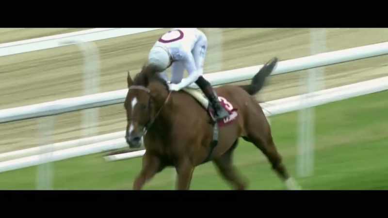 Berkshire Rocco also finishes a gallant second