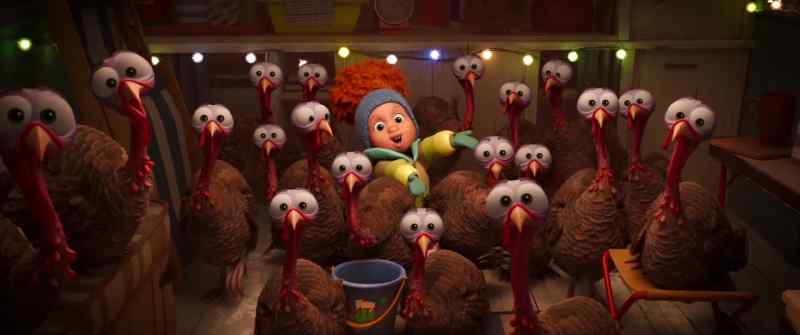 Bernie, all the big birdies! Look!