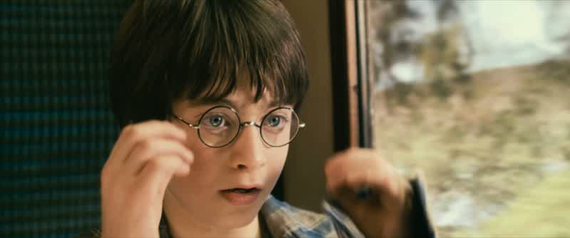 Bertie Bott's Every Flavor Beans?