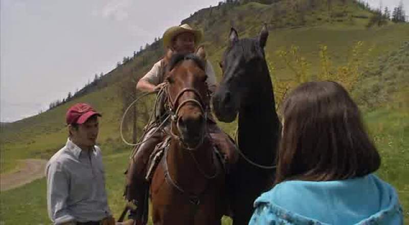 Bet she's never even seen a horse before