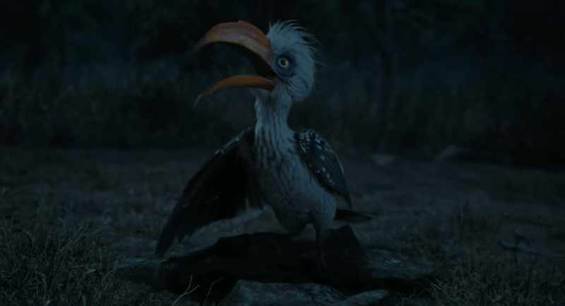 Between Albert the Iguana and I