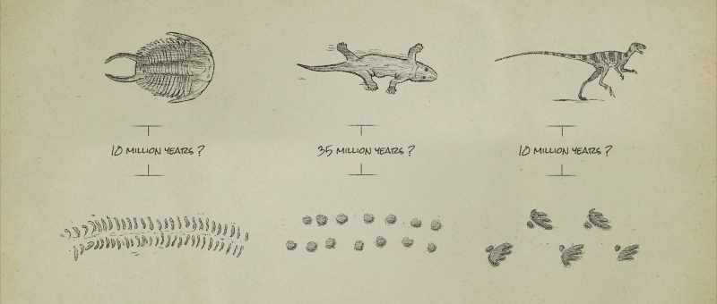 between production set of footprints and animal he made them