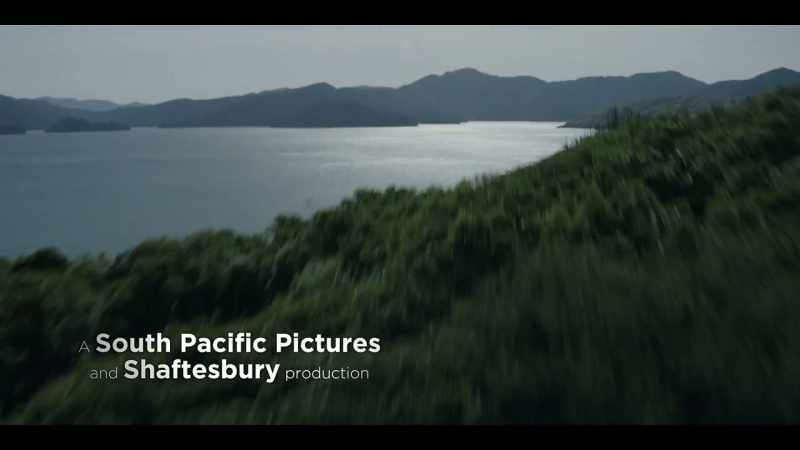 Between there and Pelorus, it's just forest