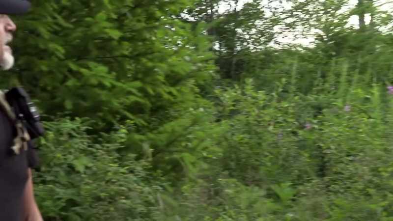Bigfoot is an omnivore