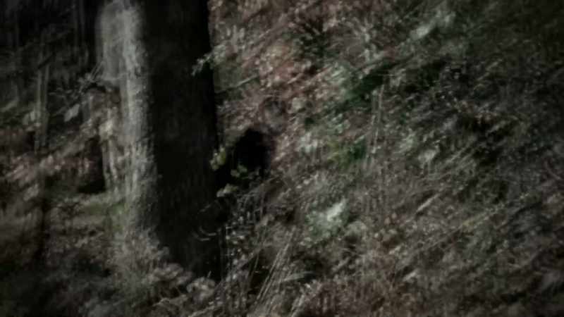 BIGFOOT IS TYPICALLY DESCRIBED