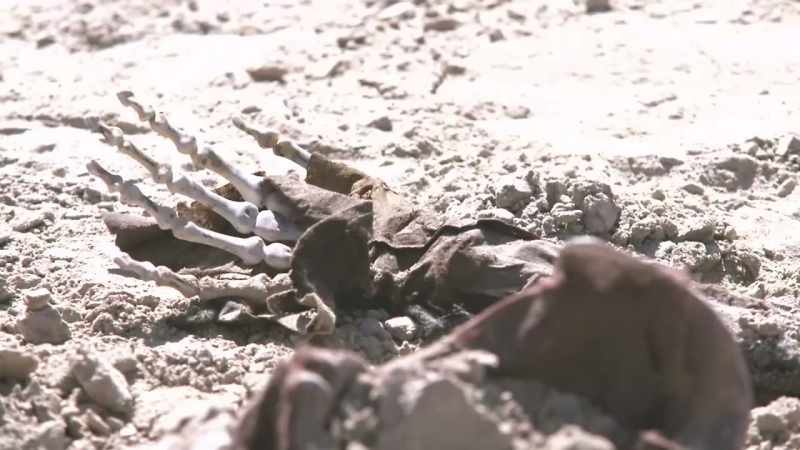 Bigham: IT'S AUGUST IN THE DESERT