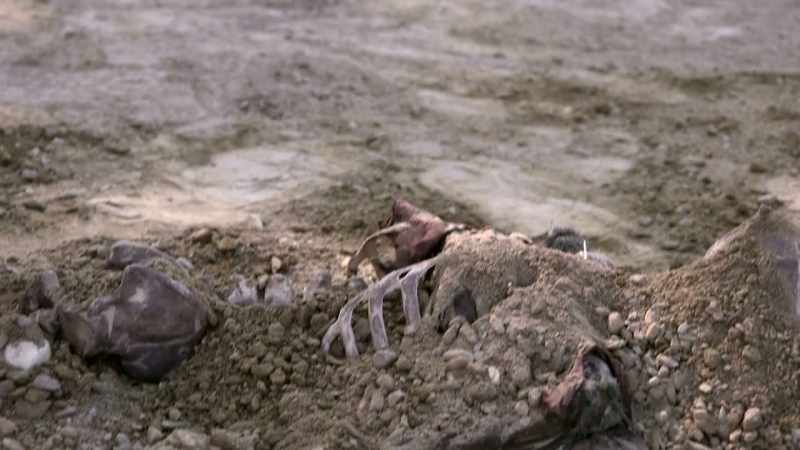 Bigham: THE FIRST BODY, IT WAS BADLY DECOMPOSED