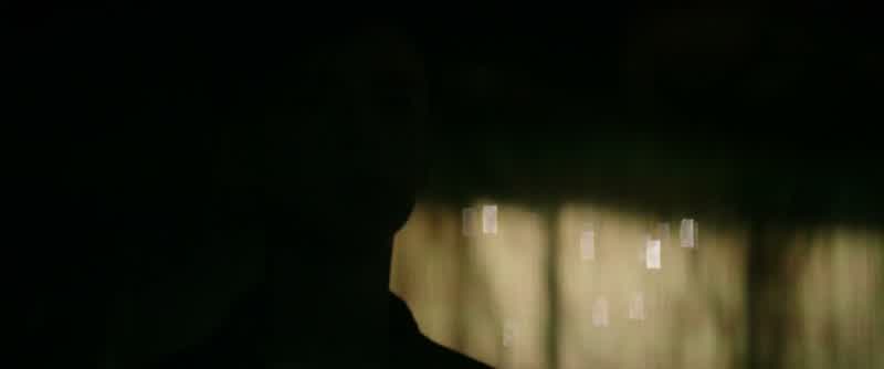 BILL: Georgie