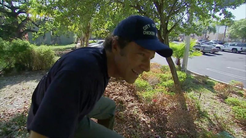 Bill: IT MAY BE HIDING INSIDE