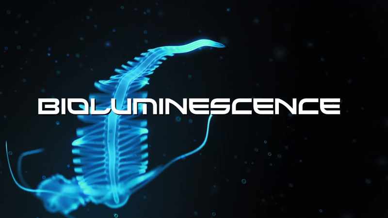�� Bioluminescence ♪