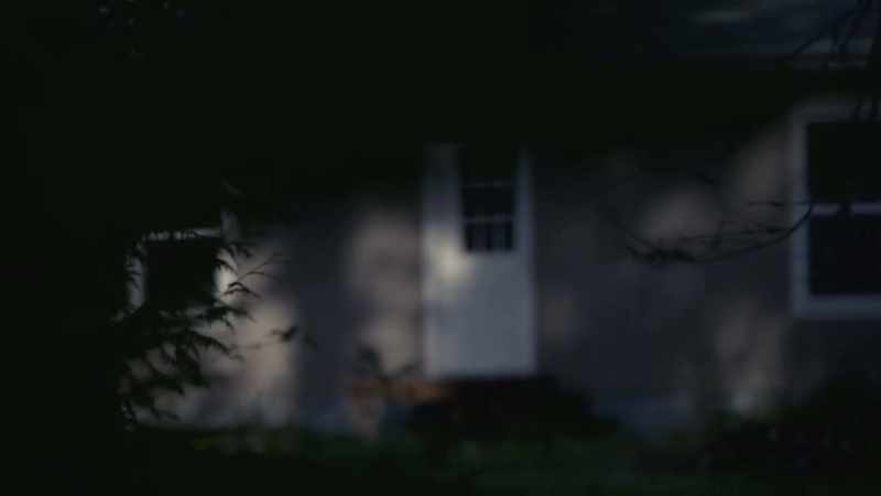 Birch: BUT ULTIMATELY, AFTER THE ABDUCTOR DOES NOT CALL
