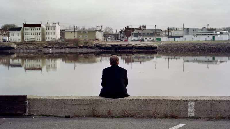 [bird calling faintly]