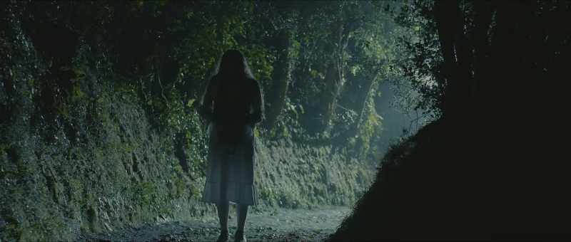 (bird calling)